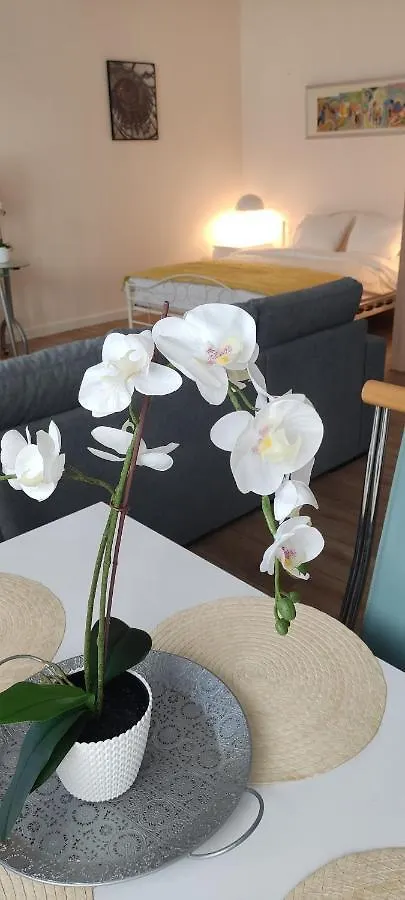 Be My Guest - Marszalkowska Studio - Center Of Warsaw Subway Wi-Fi Breakfast Appartement